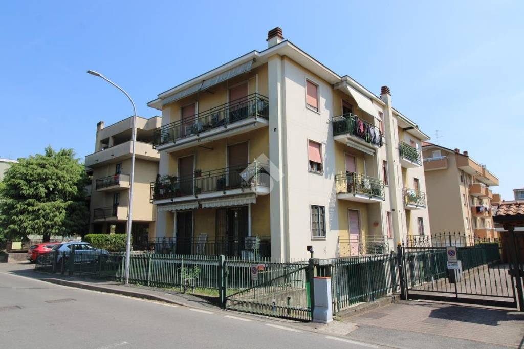 immagine annuncio 3 di 15