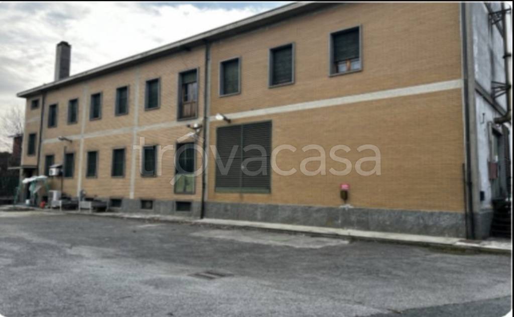 immagine annuncio 3 di 12