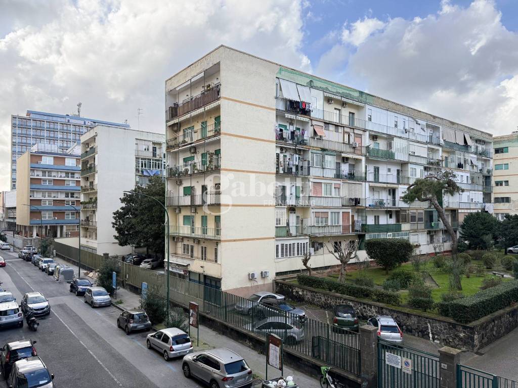 immagine annuncio 8 di 15
