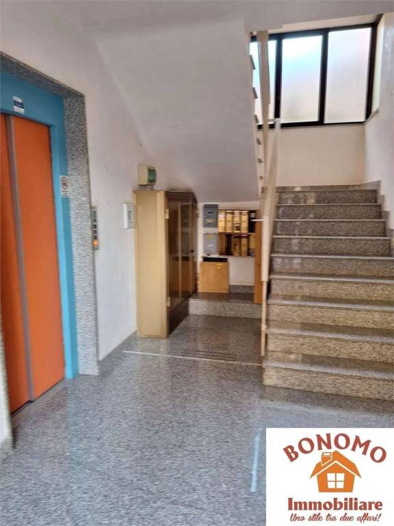 immagine annuncio 1 di 6
