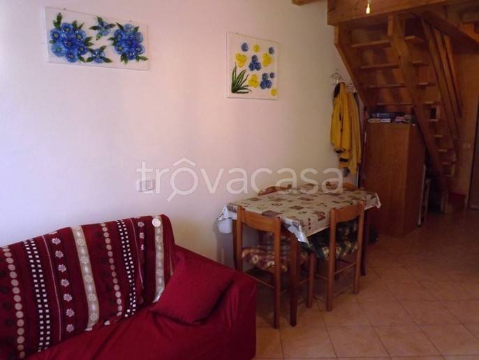 immagine annuncio 5 di 14