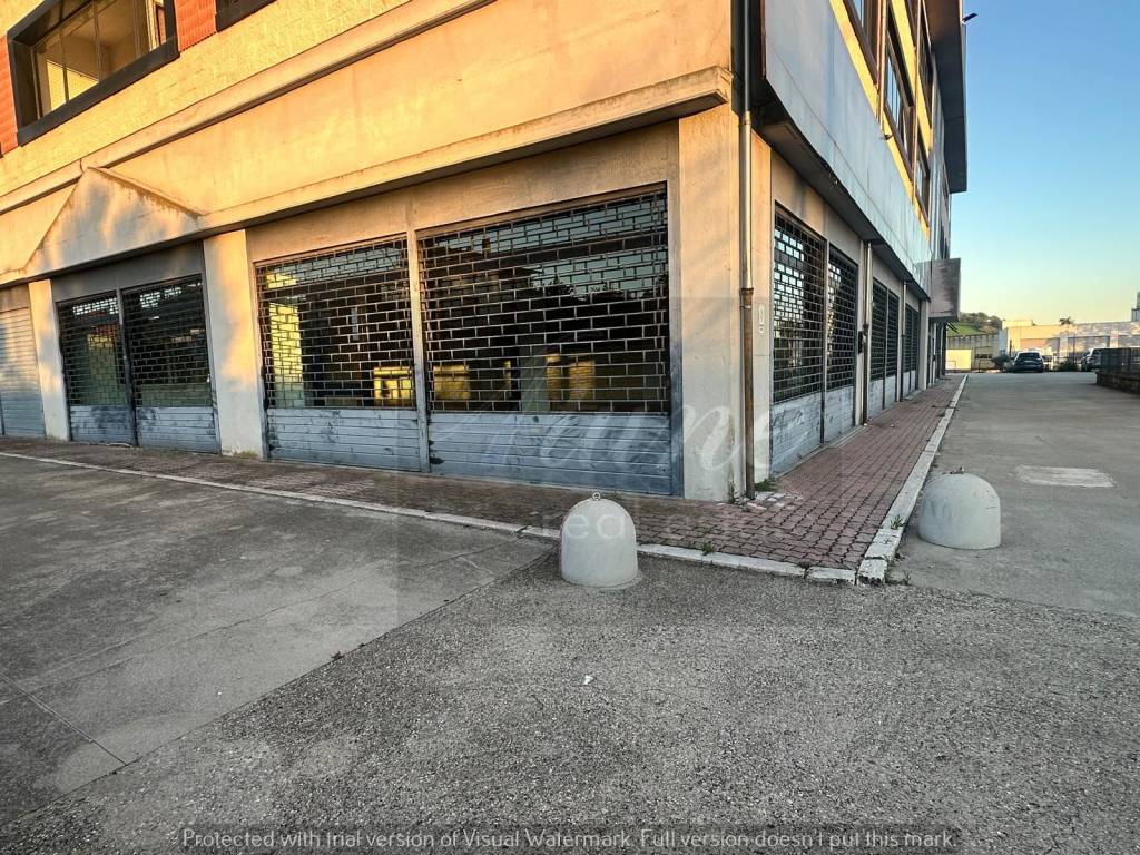 immagine annuncio 5 di 9
