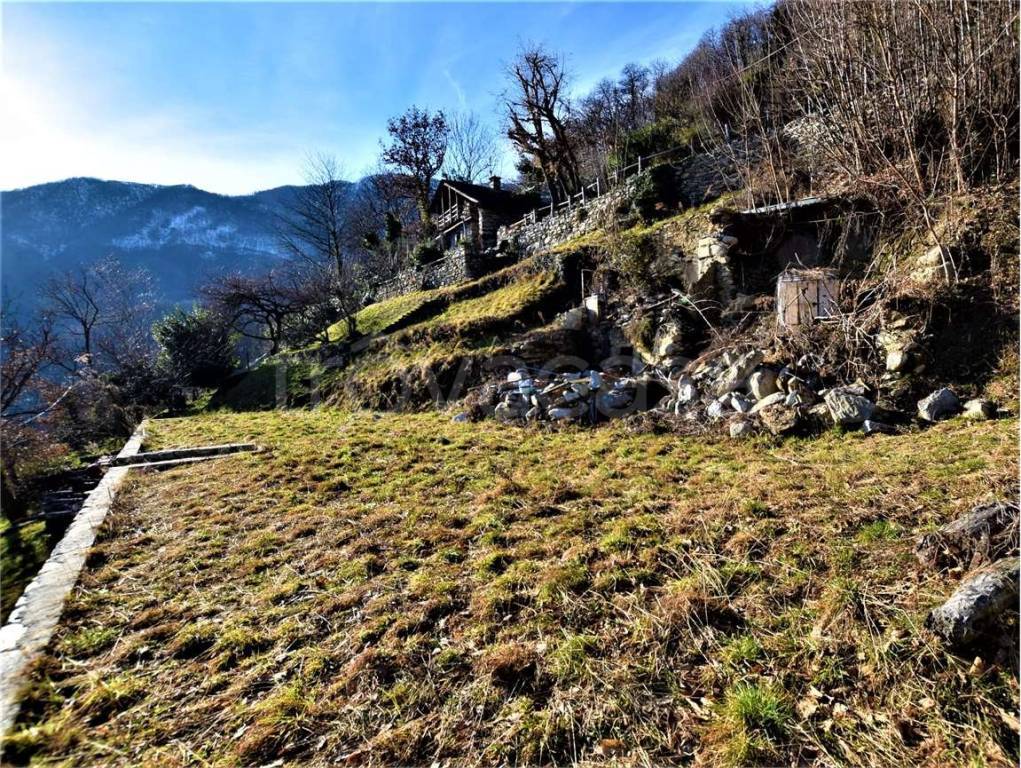 immagine annuncio 6 di 9