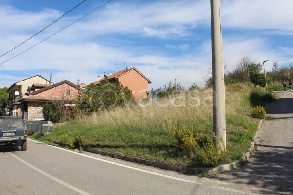 immagine annuncio 12 di 13