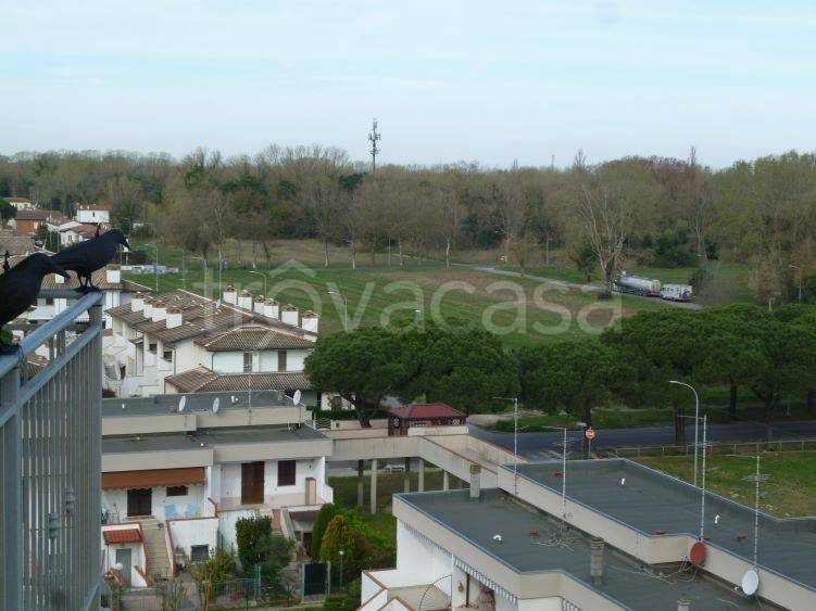 immagine annuncio 10 di 14