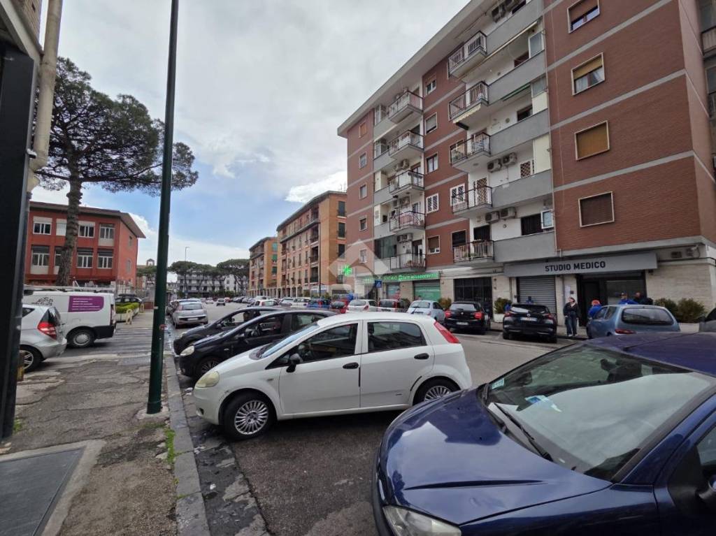 immagine annuncio 3 di 12