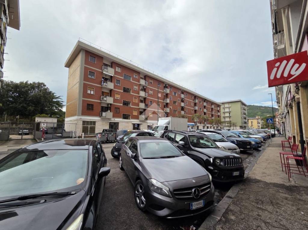 immagine annuncio 4 di 12