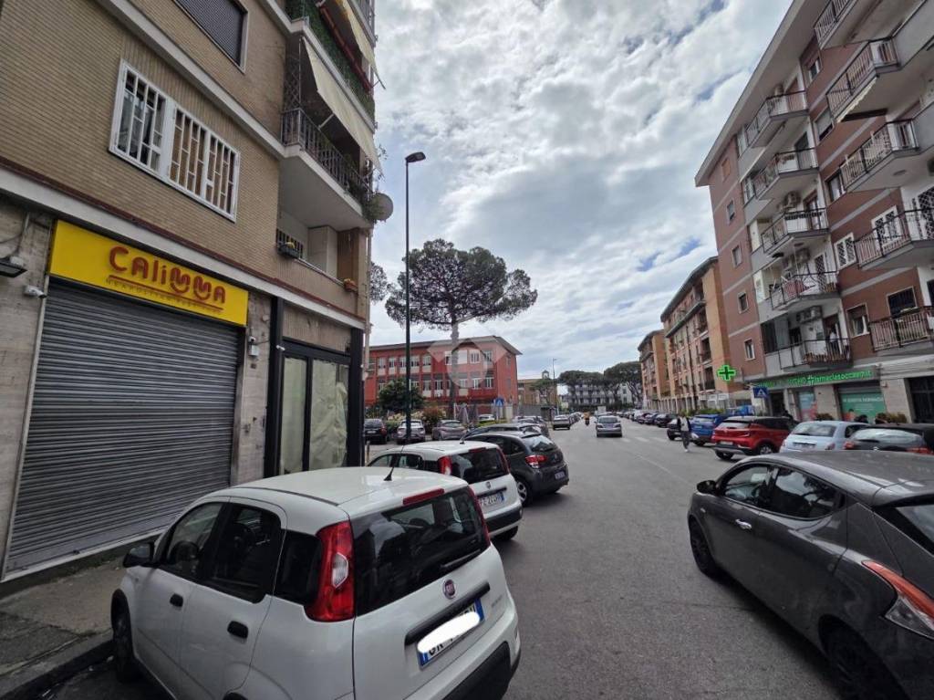 immagine annuncio 6 di 12