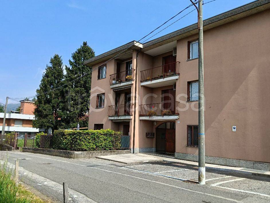 immagine annuncio 2 di 14