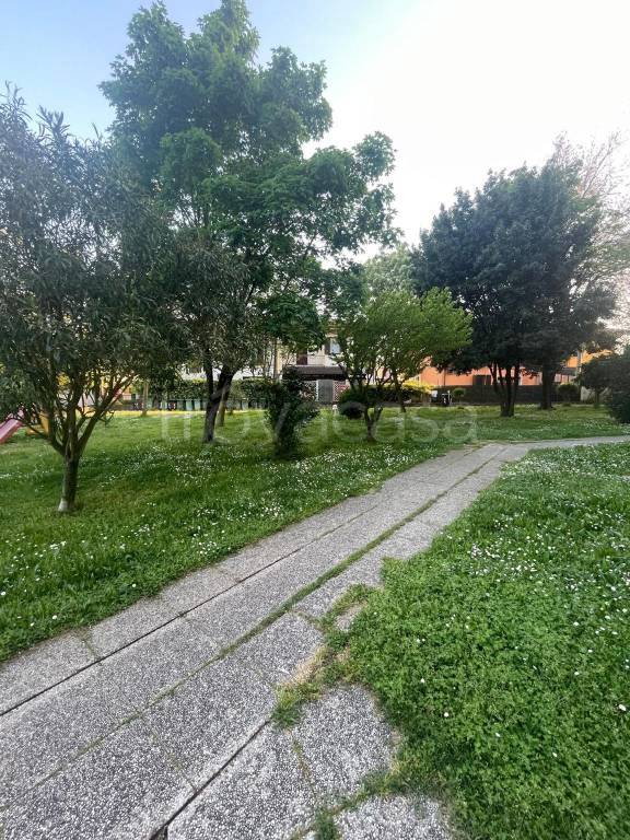 immagine annuncio 11 di 12