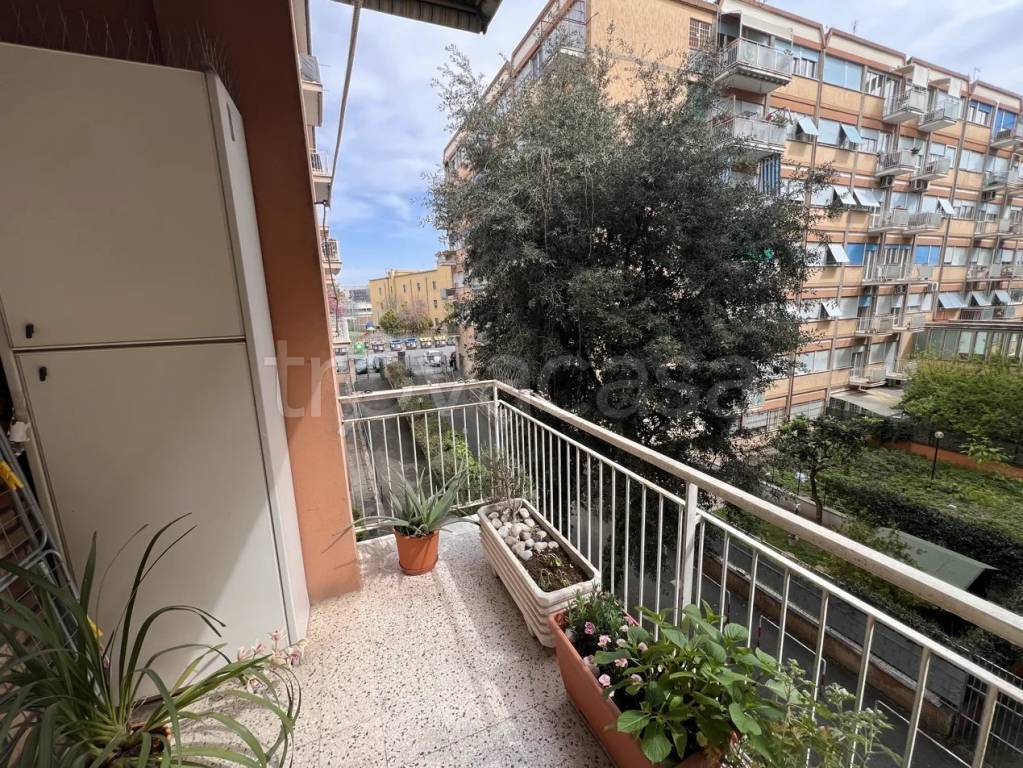 immagine annuncio 6 di 8