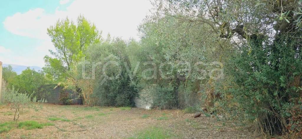 immagine annuncio 2 di 6