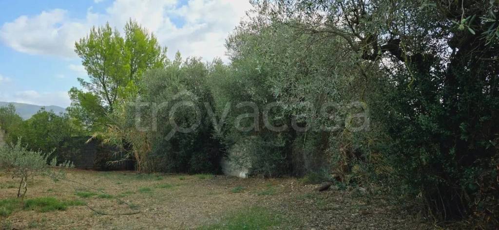 immagine annuncio 4 di 6