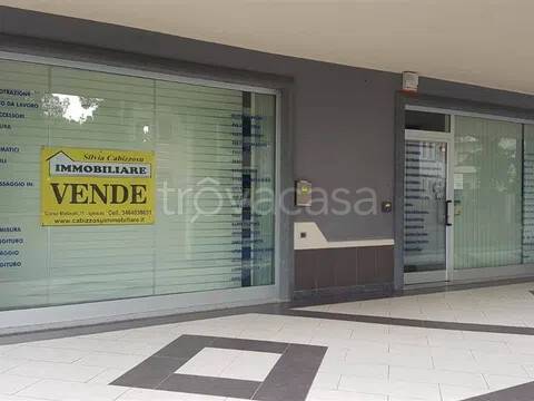 immagine annuncio 2 di 3