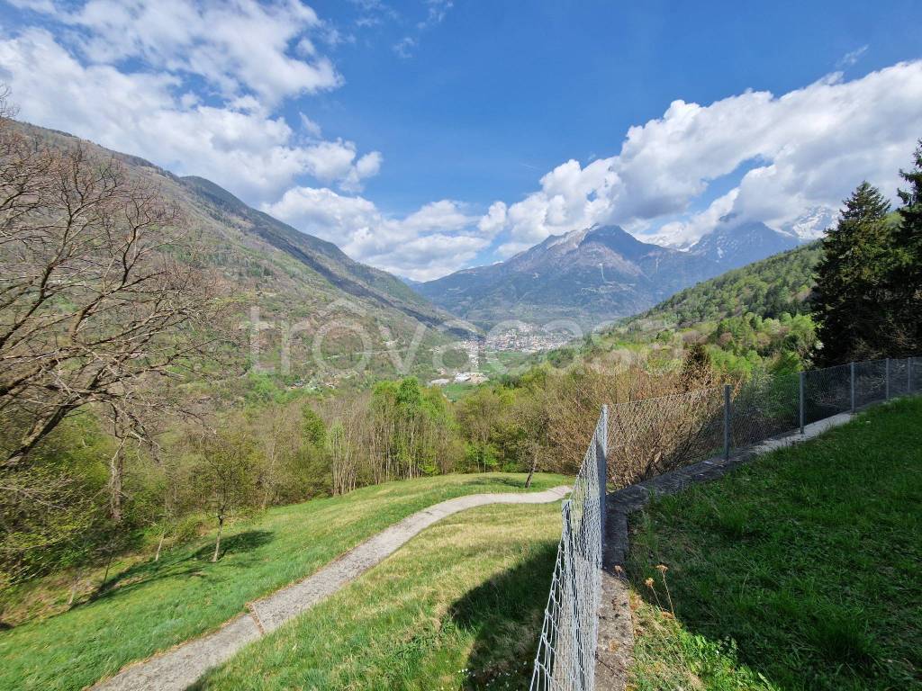 immagine annuncio 12 di 14