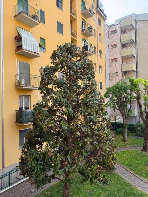 immagine annuncio 7 di 12