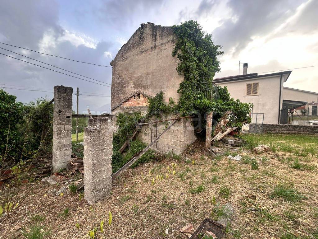 immagine annuncio 5 di 6