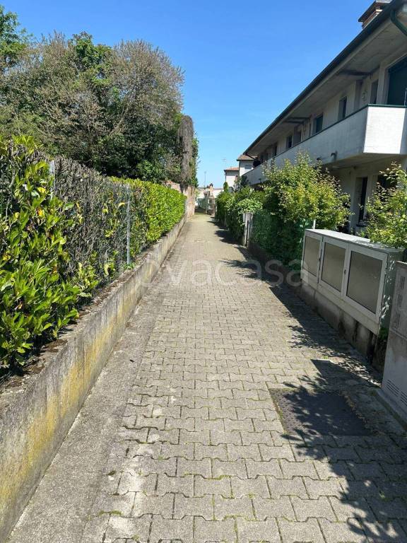 immagine annuncio 12 di 14