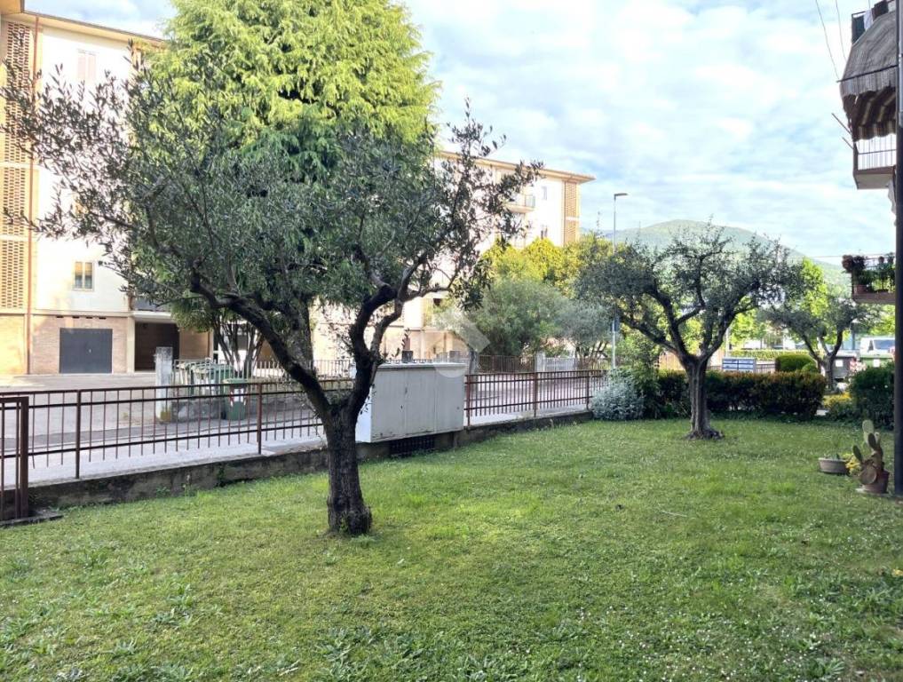 immagine annuncio 7 di 9