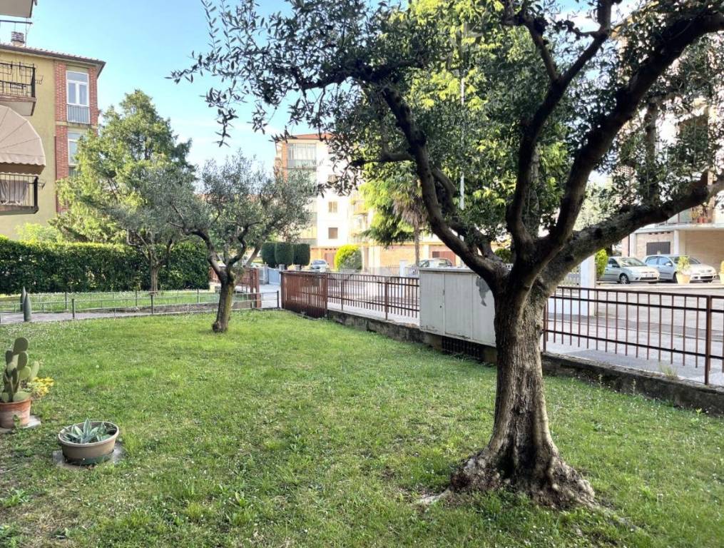 immagine annuncio 8 di 9