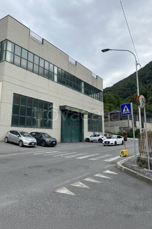 immagine annuncio 2 di 3