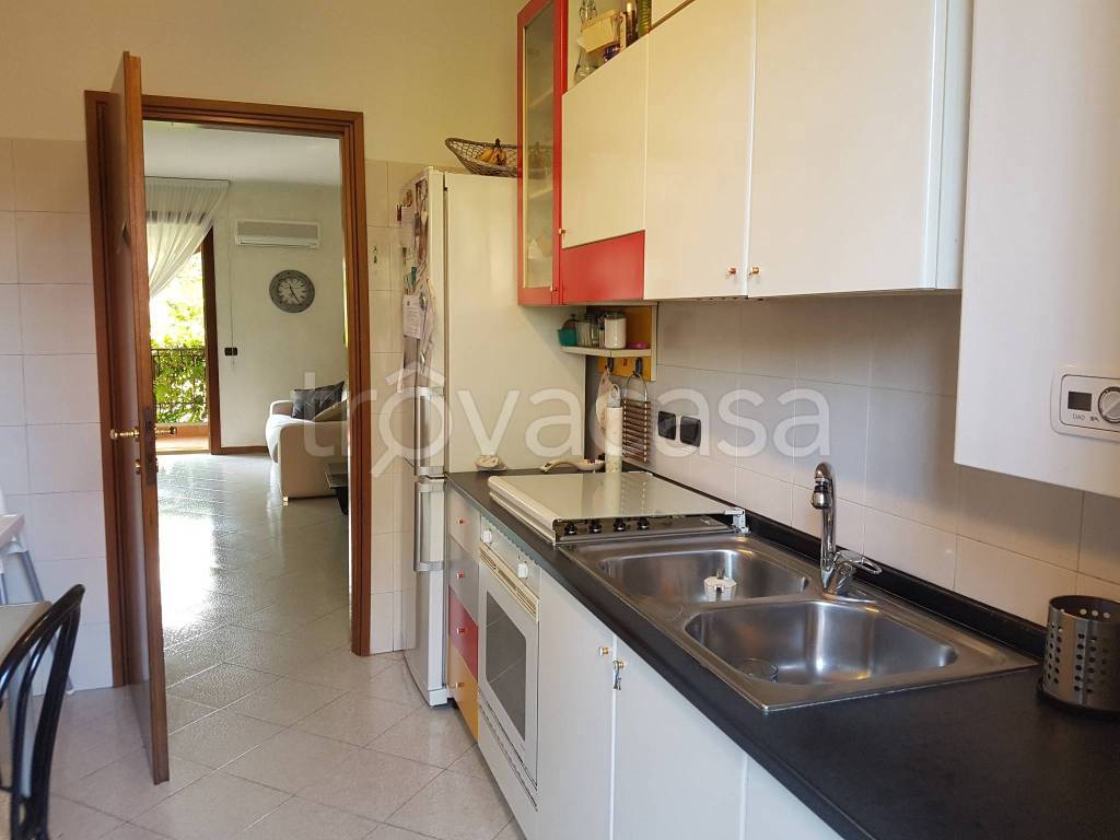 immagine annuncio 11 di 15