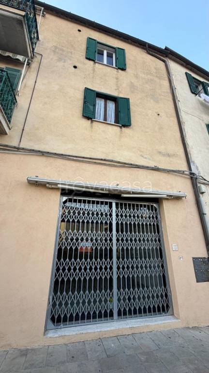 immagine annuncio 1 di 14
