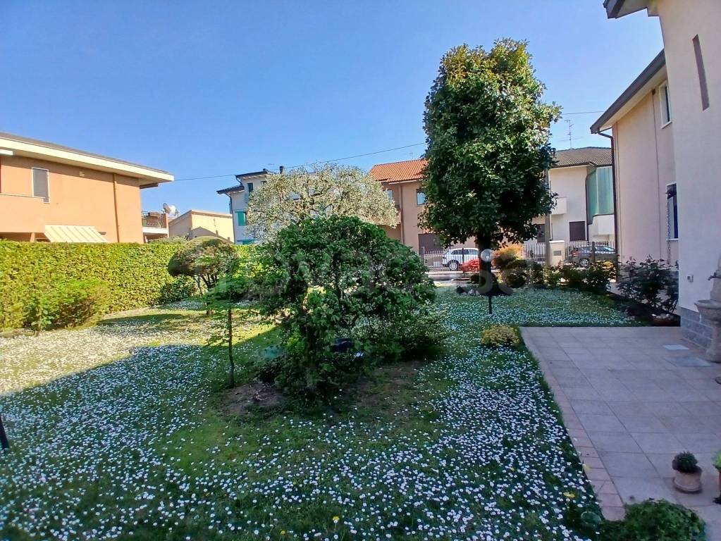 immagine annuncio 6 di 15