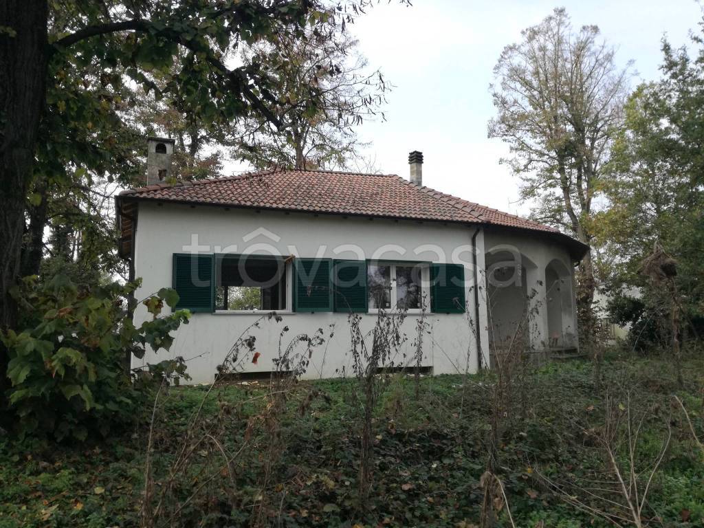 immagine annuncio 4 di 13