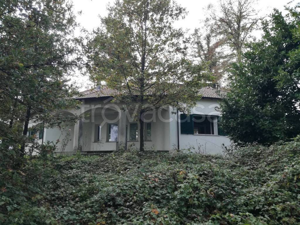 immagine annuncio 5 di 13