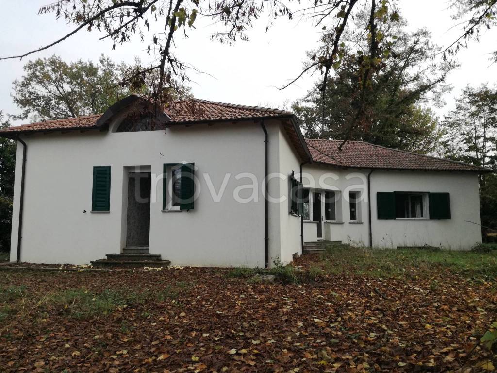 immagine annuncio 11 di 13