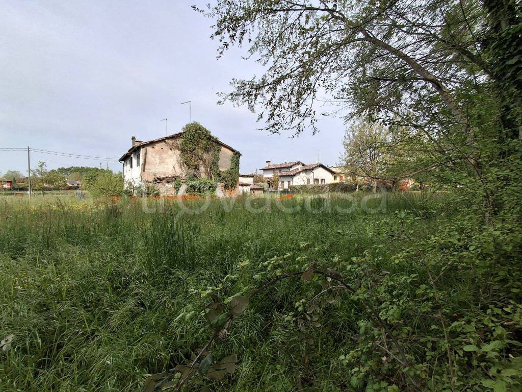 immagine annuncio 3 di 4