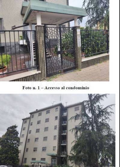 immagine annuncio 2 di 3