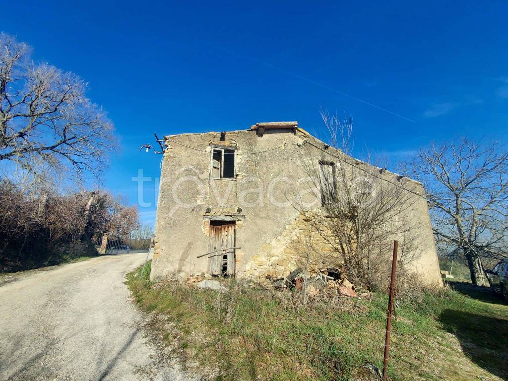 immagine annuncio 9 di 13
