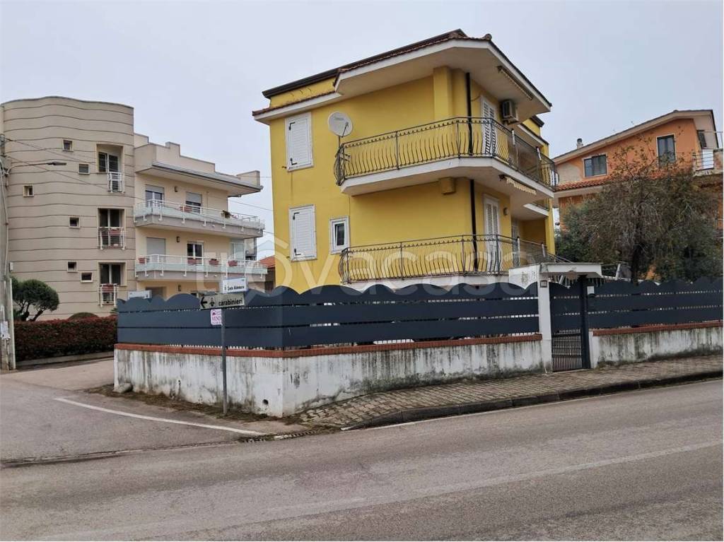 immagine annuncio 9 di 14