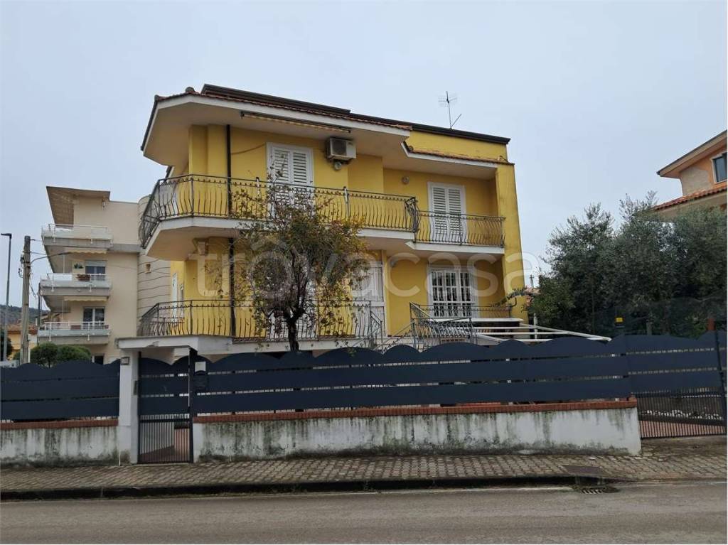 immagine annuncio 11 di 14