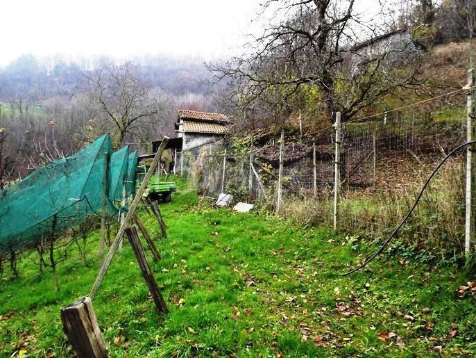 immagine annuncio 4 di 11