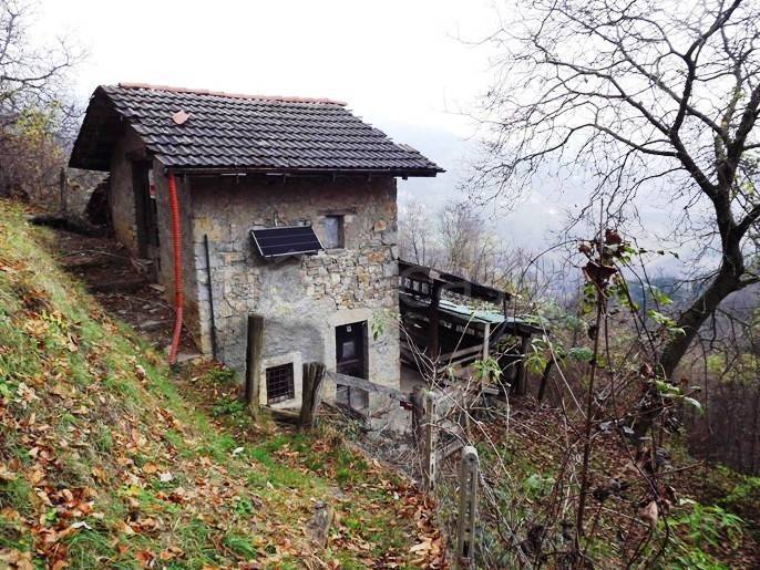 immagine annuncio 2 di 11