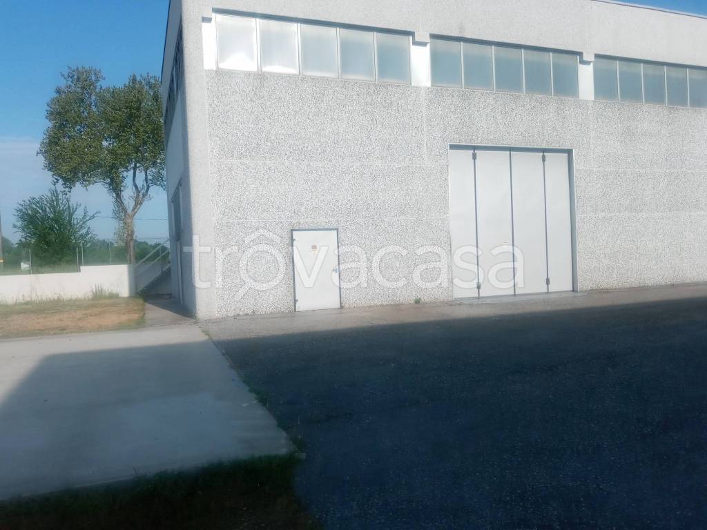 immagine annuncio 4 di 9