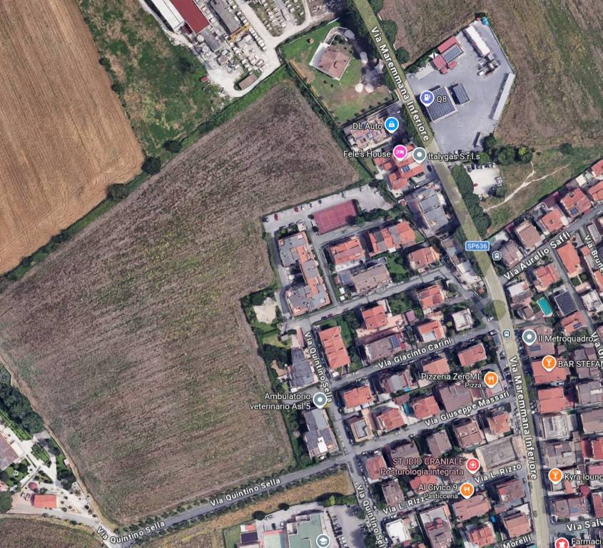 immagine annuncio 3 di 15