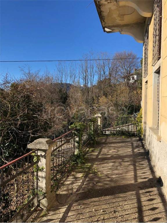 immagine annuncio 12 di 13