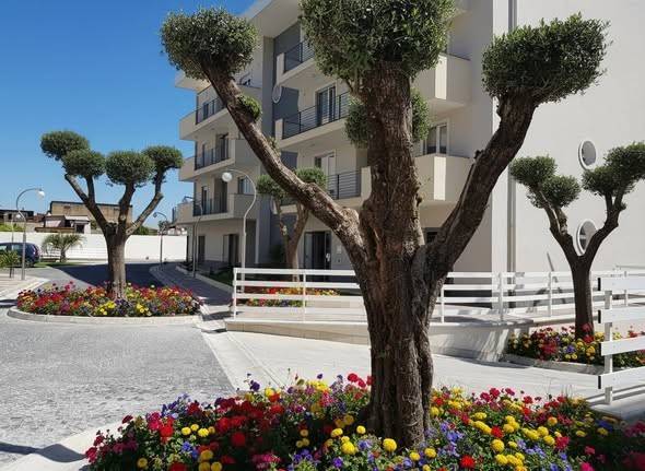 immagine annuncio 3 di 8