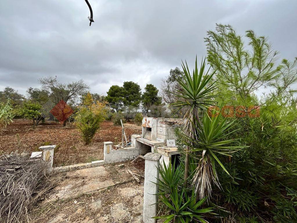 immagine annuncio 3 di 8