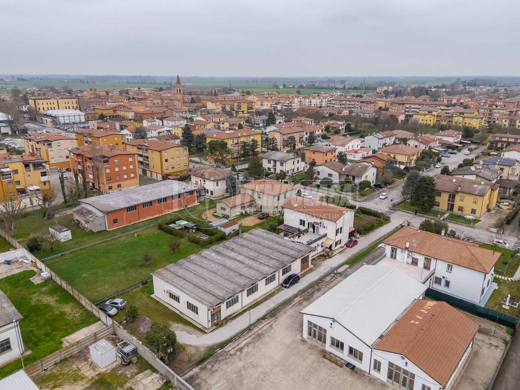 immagine annuncio 1 di 12