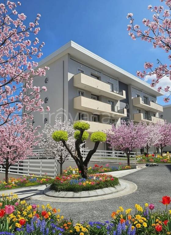 immagine annuncio 7 di 8