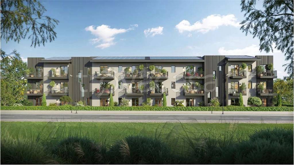 immagine annuncio 3 di 9