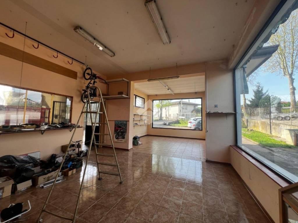 immagine annuncio 5 di 15