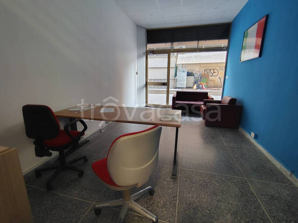 immagine annuncio 1 di 12