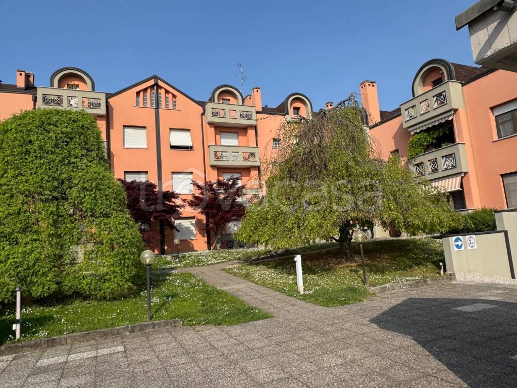 immagine annuncio 14 di 15