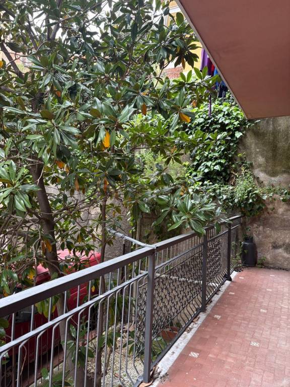 immagine annuncio 3 di 8